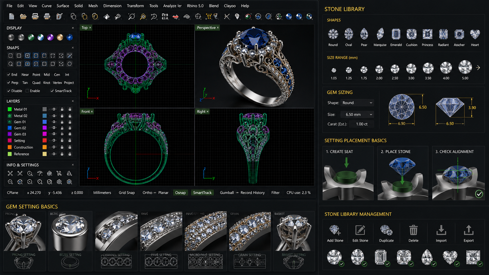 Module 5: Stone Library & Gem Setting Basics